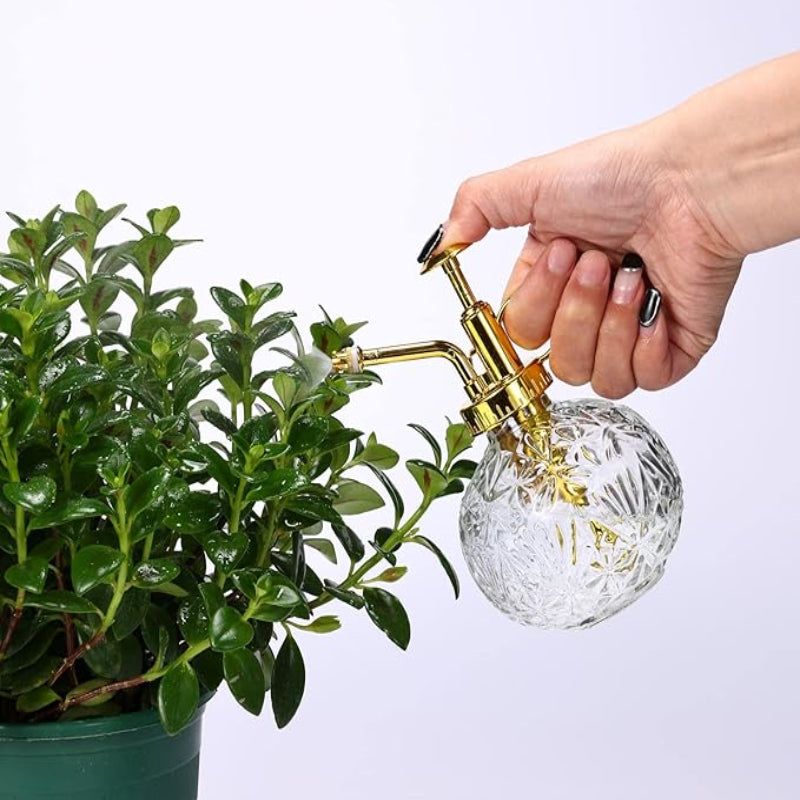Vintage Cut Glass Plant Mister - Image 2