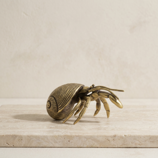 Brass Hermit Crab