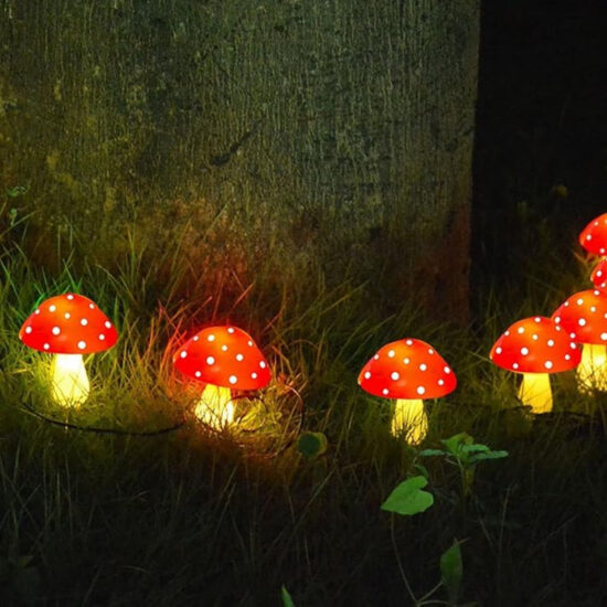 Solar Mushroom Accent Lights