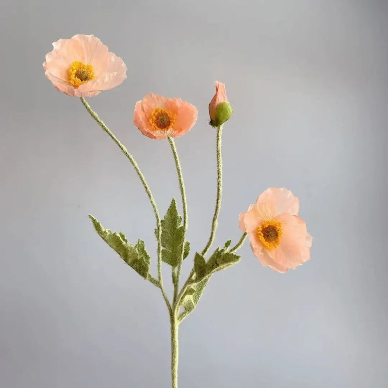 Faux Poppy Stems, Set of 6 - Image 40