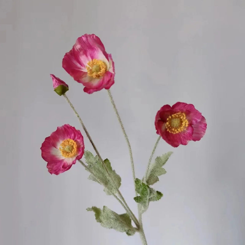 Faux Poppy Stems, Set of 6 - Image 29