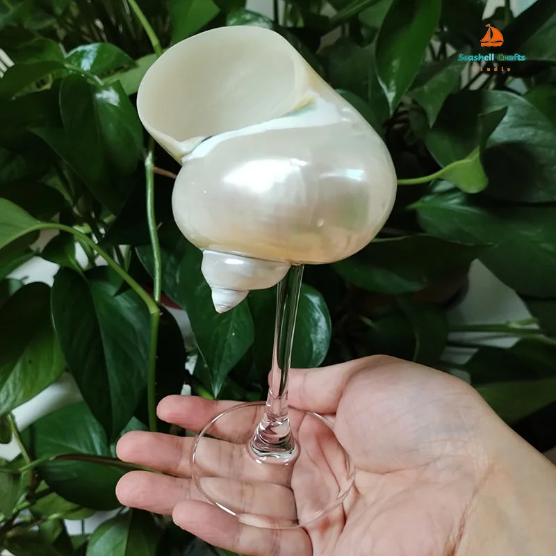 Isla Seashell Glasses - Image 5