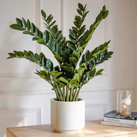 Faux Ficus Branch Stem