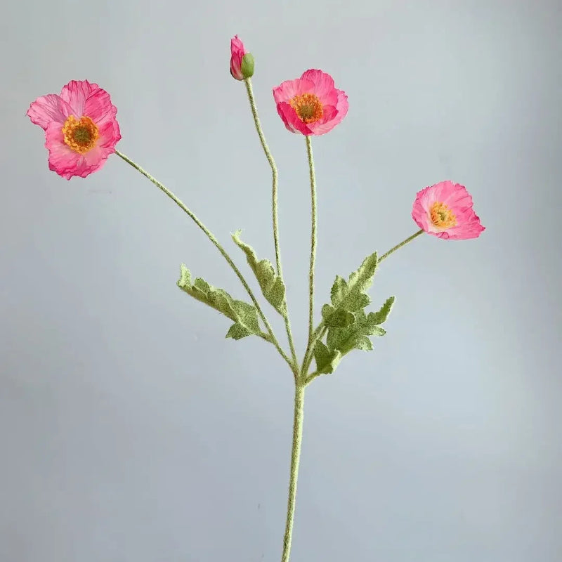 Faux Poppy Stems, Set of 6 - Image 34