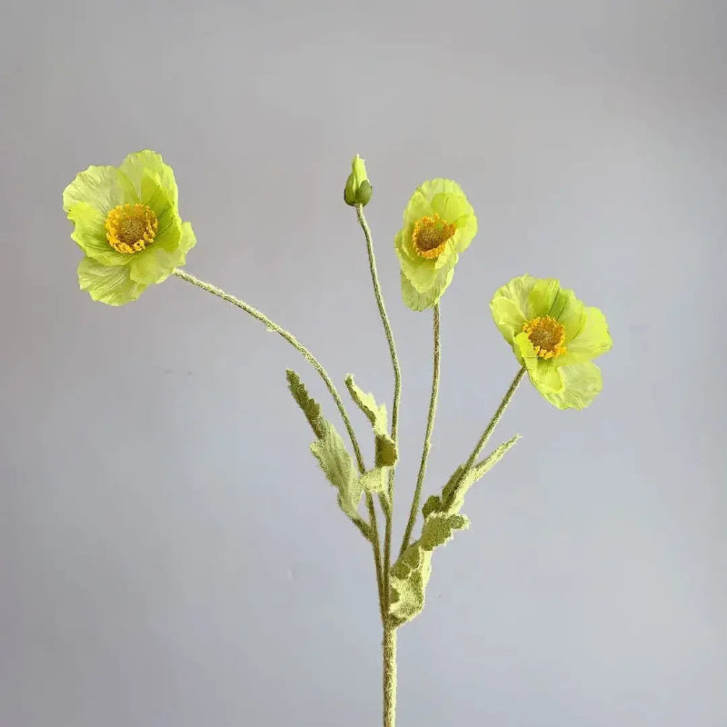 Faux Poppy Stems, Set of 6 - Image 44